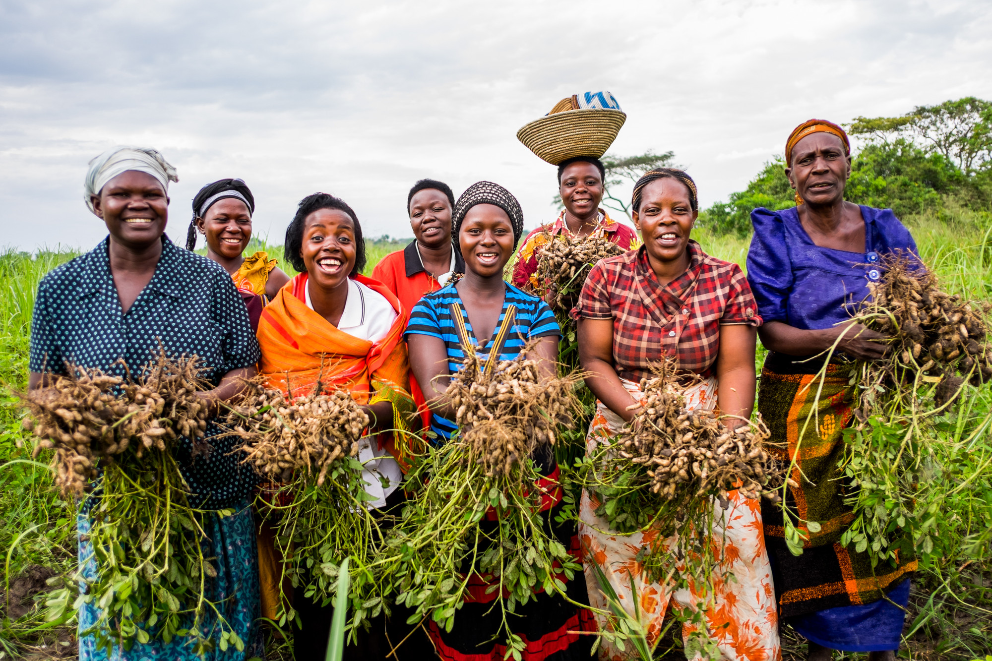 Women farmers holding their groundnut harvest, a Trias project