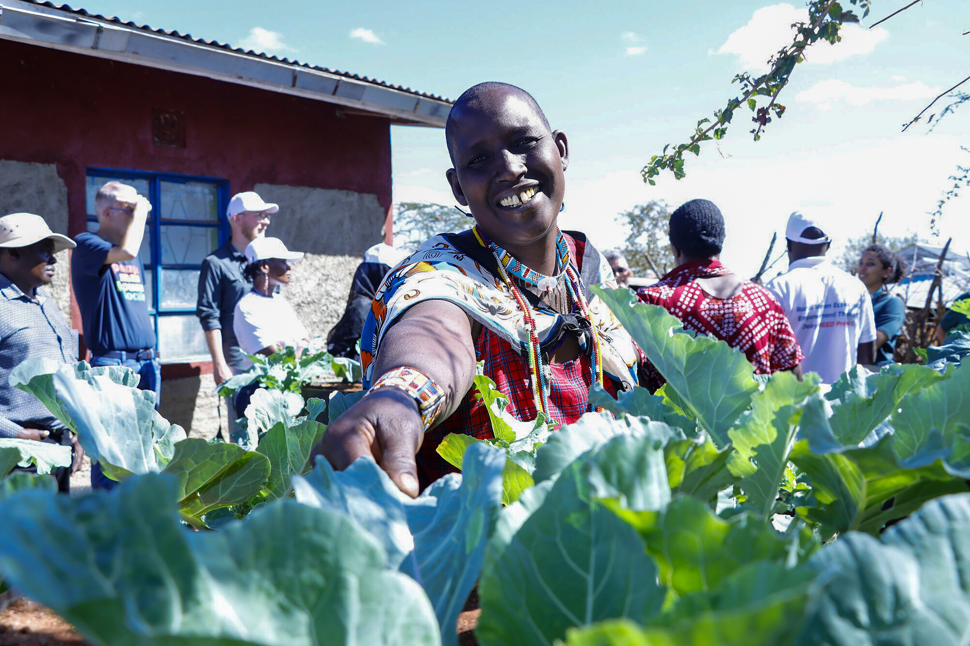 Farmers visiting a cabbage garden in Kajiado County