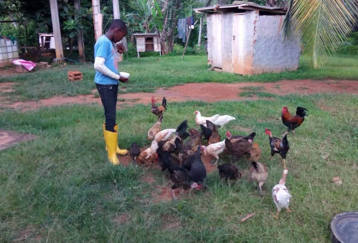 Women poultry farmers in Cameroon