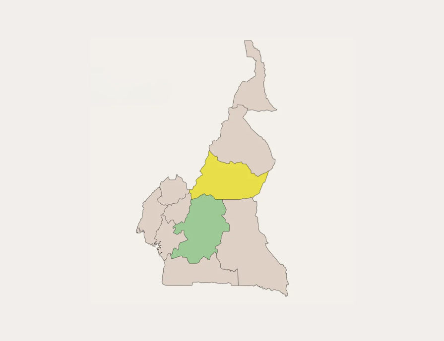Local chicken farming in Cameroon